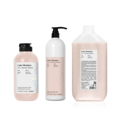Шампунь для защиты цвета и блеска окрашенных волос Back Bar Color Shampoo №01 