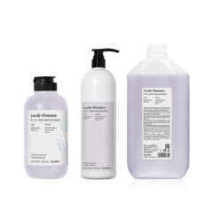 Шампунь для ежедневного применения Back Bar Gentle Shampoo №03